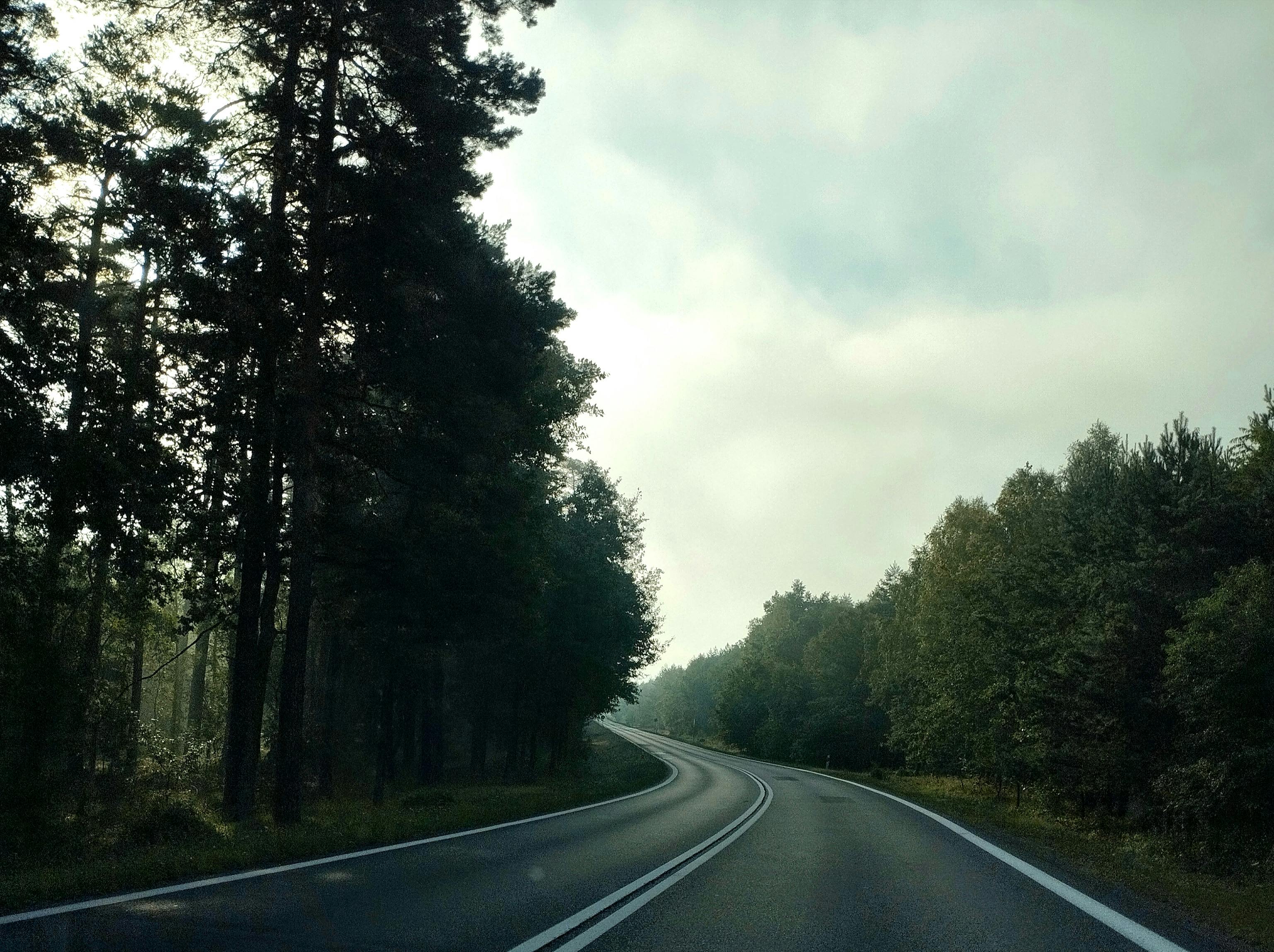 Road Trip Document